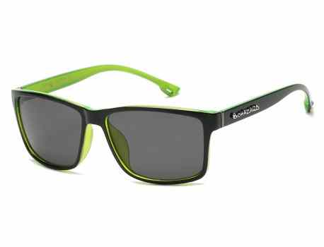 Biohazard Sunglasses bz66202