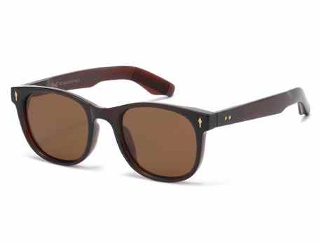 Giselle Square  Accented Temple Shades gsl22344