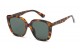 Giselle Square  Accented Temple Shades gsl22344