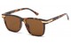 Giselle Square  Accented Temple Shades gsl22344