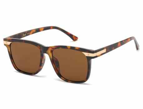 Giselle Square  Accented Temple Shades gsl22344