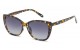 Giselle Square  Accented Temple Shades gsl22344