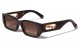 VG Accented Temple Sunglasses vg29463