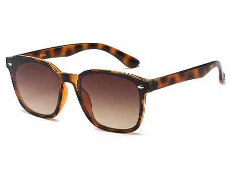 Classic Sunglasses 712034