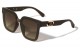 Lion Fashion Squared Cat Eye Shades lh-p4103