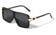 Flat Top Gold Hinge Accent Sunglasses p30637